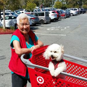 Fundraising Page: Milly Lee